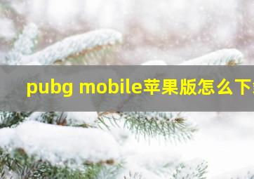 pubg mobile苹果版怎么下载